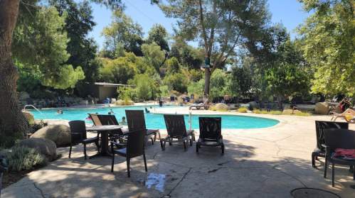 A sunny pool area surrounded by trees, with lounge chairs and people swimming in the water.