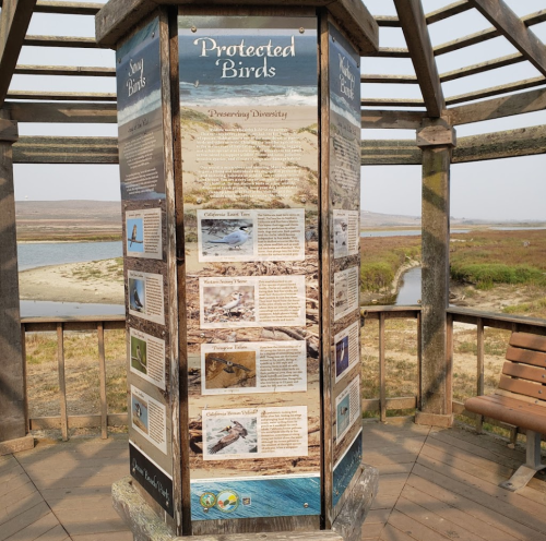 Information display about protected birds, featuring images and text on bird diversity, located in a wooden gazebo.
