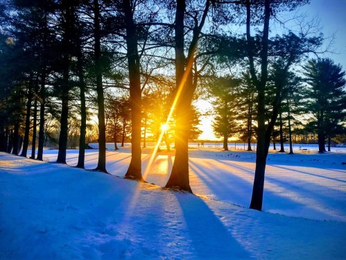 A winter landscape with snow-covered ground, tall trees, and a bright sun setting behind them, casting long shadows.