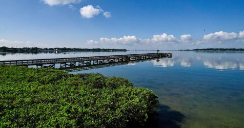 View of the long dock at R.E. Olds Park in Oldsmar, Florida