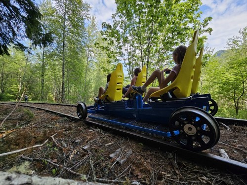 Two people sit in a yellow and blue cart on a forested track, surrounded by trees and greenery.