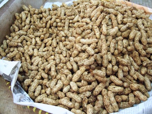 A close-up of a basket filled with raw, unpeeled peanuts.