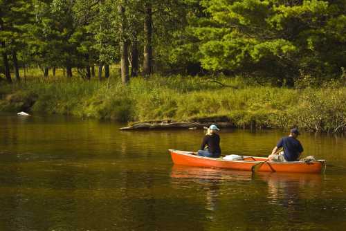 A couple paddles in an orange canoe on a calm river surrounded by lush green trees.