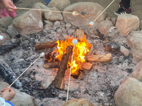 People roasting marshmallows over a campfire surrounded by rocks and logs. Flames and smoke are visible.