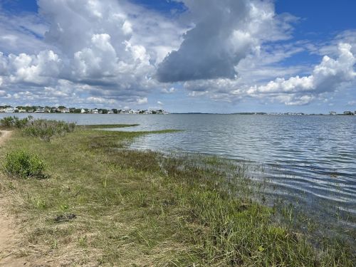 A serene waterfront scene with grassy shorelines, calm water, and fluffy clouds in a blue sky.