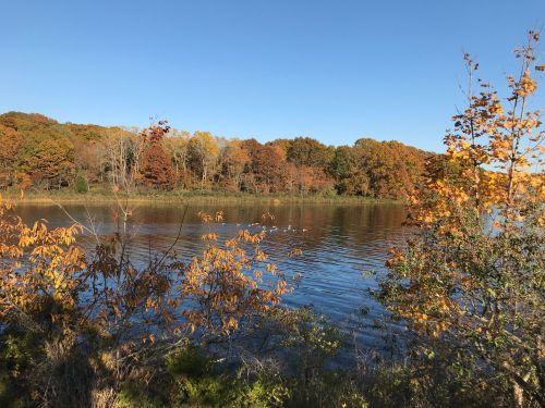 A serene lake surrounded by trees with autumn foliage under a clear blue sky.