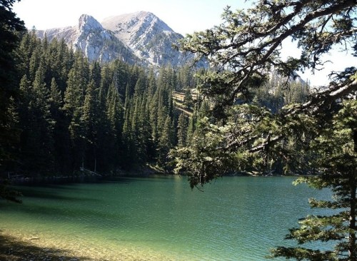 A serene lake surrounded by lush green trees and mountains under a clear blue sky.