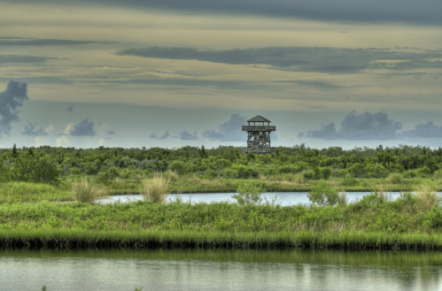 A wooden observation tower stands amidst lush greenery and a calm water body under a cloudy sky.