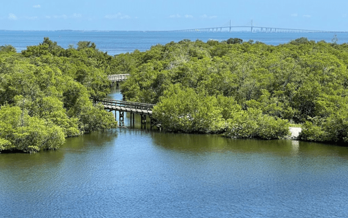 A serene view of a wooden walkway through lush greenery, leading to a calm blue waterway with a distant bridge.