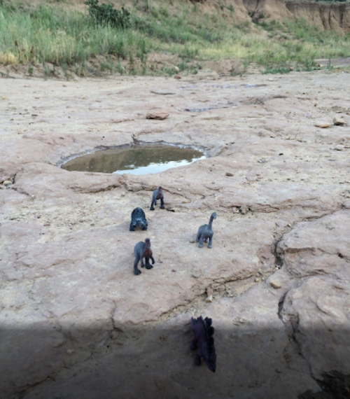 Miniature dinosaur figures on dry, cracked ground near a small puddle, surrounded by sparse grass and rocky terrain.