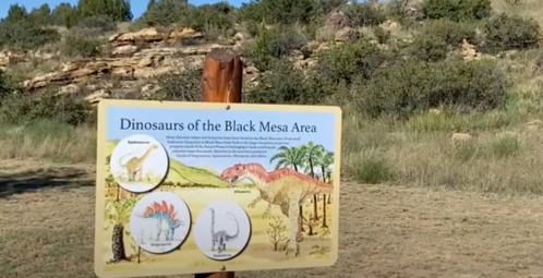 Sign detailing dinosaurs of the Black Mesa area, featuring illustrations of various species and their names.