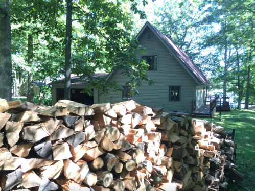 A stack of firewood in front of a house surrounded by trees, with sunlight filtering through the leaves.