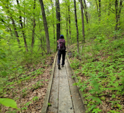 A person walks along a wooden path through a lush green forest, surrounded by trees and foliage.