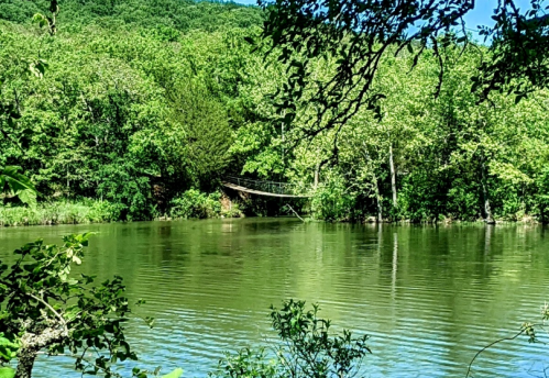 A serene river scene surrounded by lush green trees and a clear blue sky, reflecting calm waters.