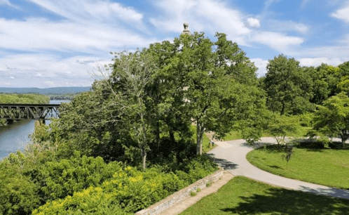 A scenic view of a river, trees, and a pathway under a blue sky with clouds.