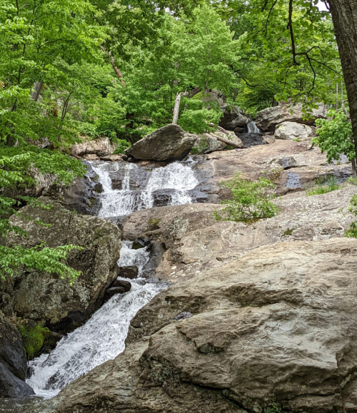A cascading waterfall flows over rocky terrain, surrounded by lush green trees and foliage.