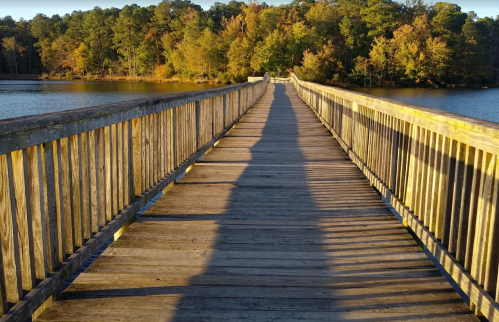 A wooden pier extends into a calm lake, surrounded by trees with autumn foliage under a clear blue sky.