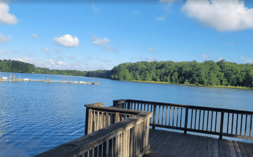 A serene lake view from a wooden dock, surrounded by lush green trees under a clear blue sky.