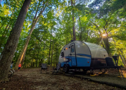 A small camper parked in a wooded area, surrounded by tall trees and a few camping chairs nearby.