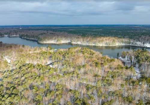 Aerial view of a winding river surrounded by trees, with a mix of green and brown foliage under a cloudy sky.
