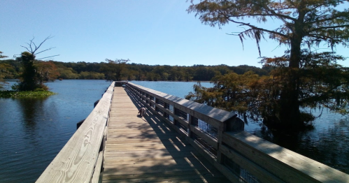 A wooden pier extends over a calm lake, surrounded by trees and clear blue skies.