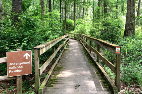A wooden walkway leads through a lush green forest, with a sign pointing to the Underground Railroad Pavilion.