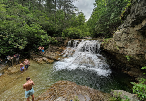 A serene waterfall cascades into a pool, surrounded by lush greenery and people enjoying the natural setting.