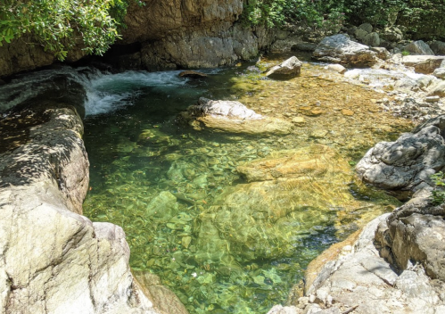 Clear, shallow water flows over rocks in a serene natural setting, surrounded by lush greenery.