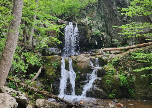 A serene waterfall cascades over rocky terrain, surrounded by lush green trees and foliage.