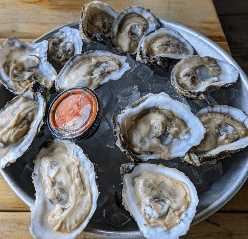 A metal platter filled with fresh oysters on ice, accompanied by a small cup of cocktail sauce.