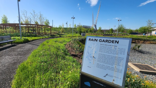 A rain garden with a sign explaining its purpose, surrounded by greenery and blue skies in a park setting.
