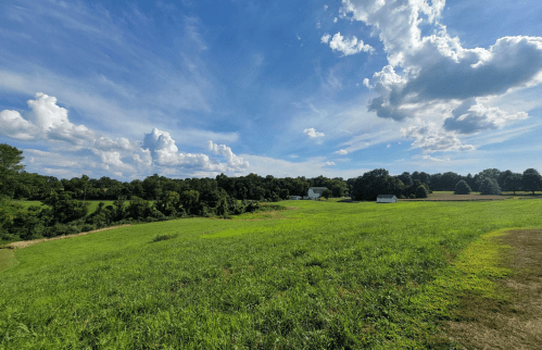 A lush green field under a blue sky with fluffy clouds, bordered by trees and distant white structures.