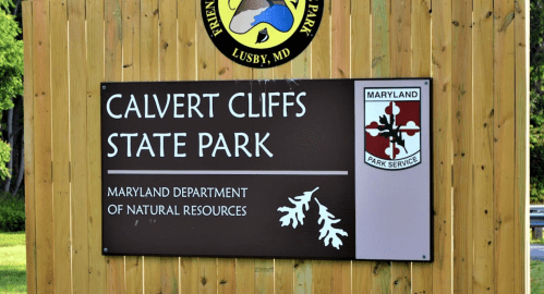 Sign for Calvert Cliffs State Park in Maryland, featuring the park's logo and information about the Department of Natural Resources.