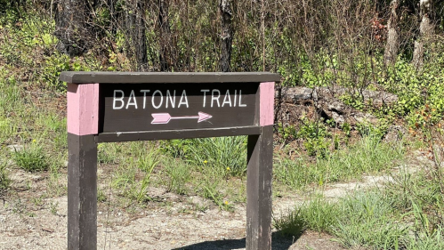 Sign for Batona Trail with an arrow pointing to the right, surrounded by greenery and trees.