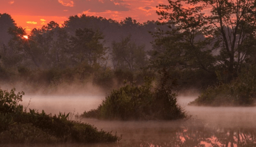 A serene landscape at sunrise, with mist rising over a calm waterway surrounded by trees and lush greenery.