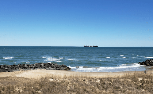 A calm beach scene with gentle waves, a distant ship on the horizon, and a clear blue sky.