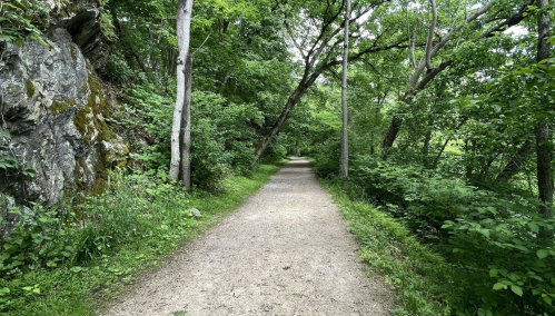 A serene gravel path winds through a lush green forest, flanked by trees and rocky outcrops.