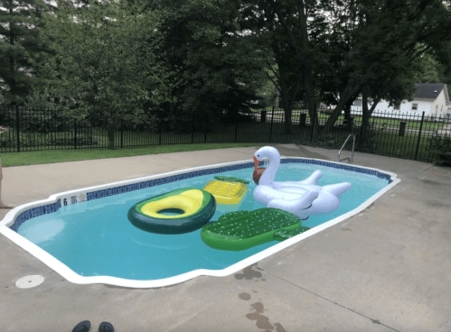 A backyard pool with colorful inflatable floats, including a swan, a duck, and a green alligator, surrounded by greenery.