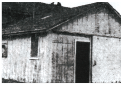 A weathered wooden shed with a slanted roof and a door, set against a blurred background.