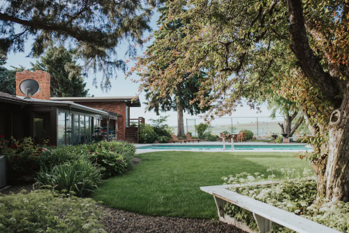 A serene backyard with a pool, lush green lawn, and trees, featuring a brick house in the background.