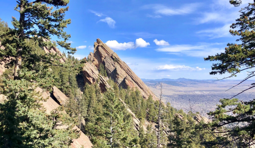 A rocky mountain peak rises above a forest of pine trees under a blue sky with scattered clouds.