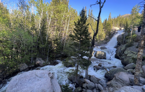 A cascading waterfall flows through rocky terrain, surrounded by lush green trees under a clear blue sky.
