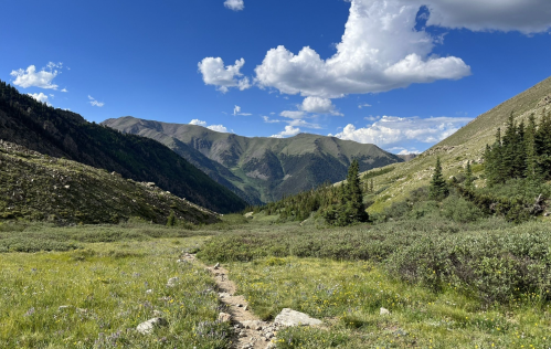 A scenic mountain valley with a clear blue sky, lush greenery, and a winding dirt path leading into the distance.