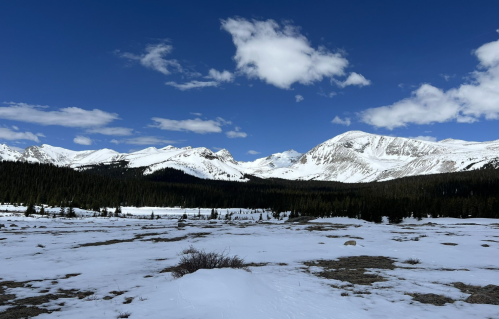 Snow-covered mountains under a blue sky with scattered clouds, surrounded by a forested area.