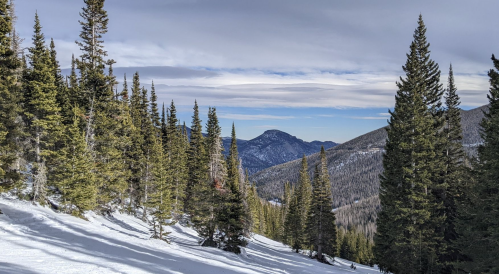 Snow-covered landscape with tall pine trees and distant mountains under a cloudy sky.