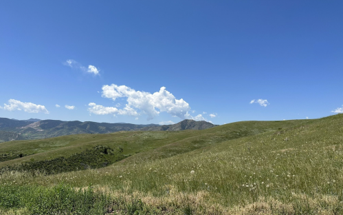 A scenic view of rolling green hills under a bright blue sky with fluffy white clouds. Mountains are visible in the distance.