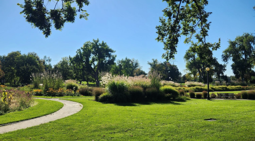 A sunny park scene with a winding path, lush green grass, and flowering plants under a clear blue sky.