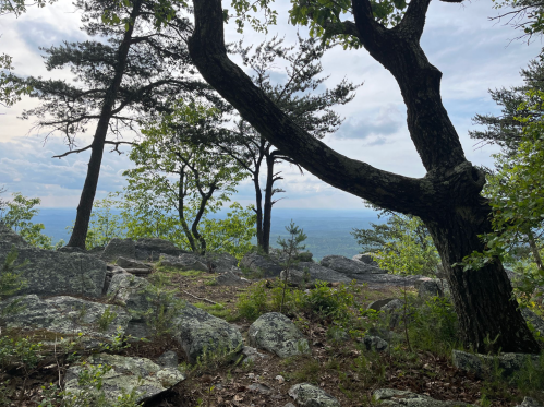 A rocky landscape with trees overlooking a distant valley under a cloudy sky.