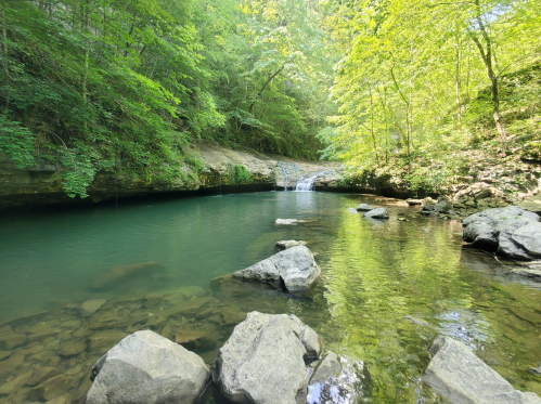 A serene forest scene featuring a clear pool of water surrounded by rocks and lush green trees.