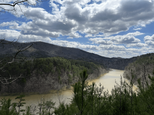 A scenic view of a river winding through a forested landscape under a cloudy sky.